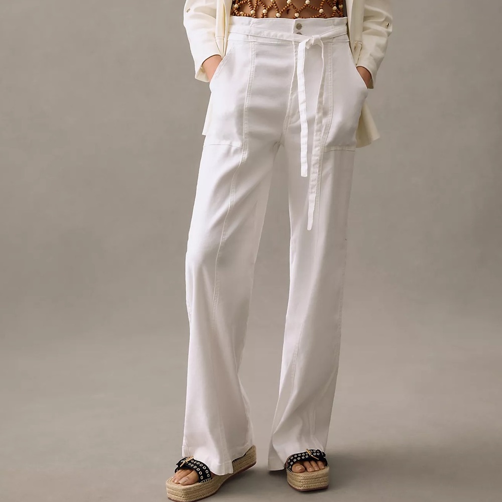 ✨HP✨ NWTS HUDSON TIE-WAIST WIDE LEG PANTS (28)